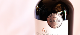 carmenere-medalla-plata-2017(2)